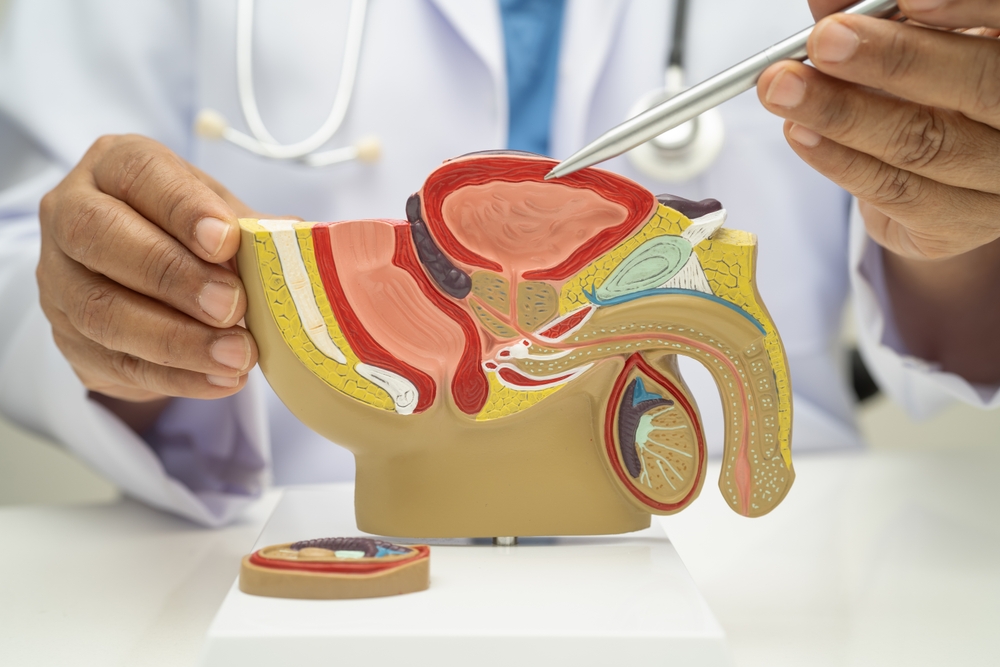 Penis Enlargement treatment in Dubai at novomed